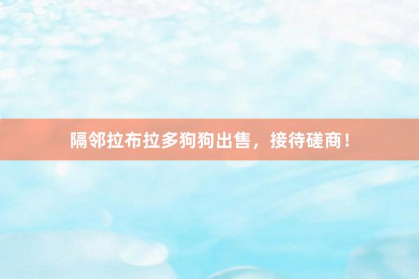 隔邻拉布拉多狗狗出售，接待磋商！