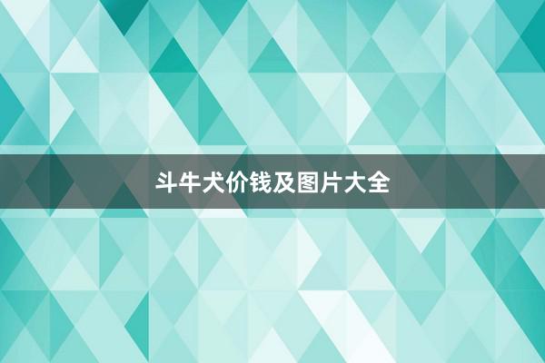 斗牛犬价钱及图片大全